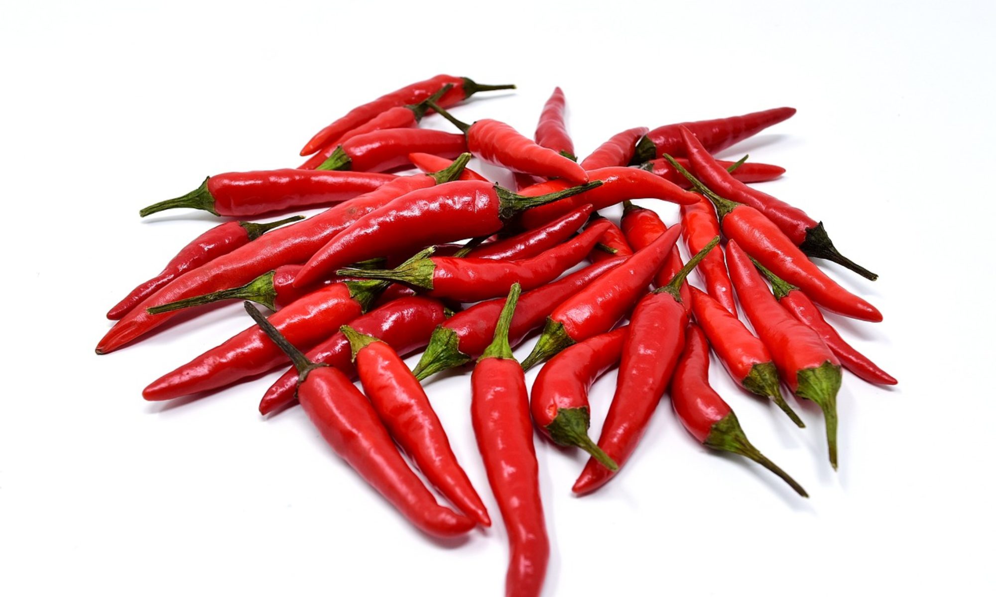 chili-total.de